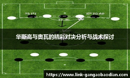 华斯高与奥瓦的精彩对决分析与战术探讨