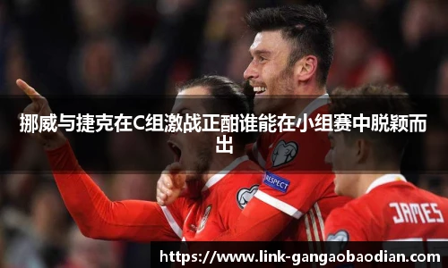 挪威与捷克在C组激战正酣谁能在小组赛中脱颖而出